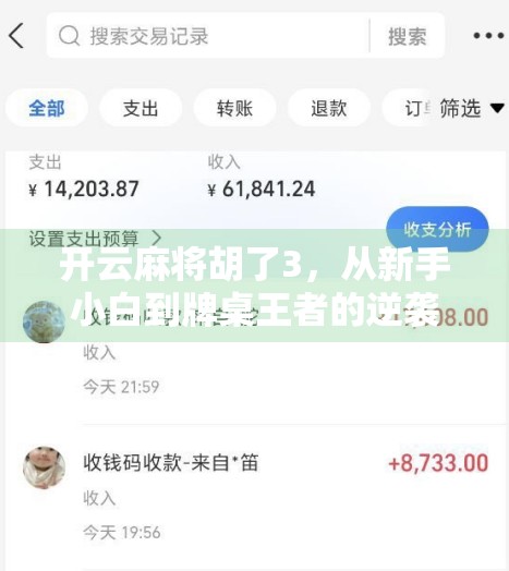 开云麻将胡了3，从新手小白到牌桌王者的逆袭之路，我靠这招赢遍朋友圈！