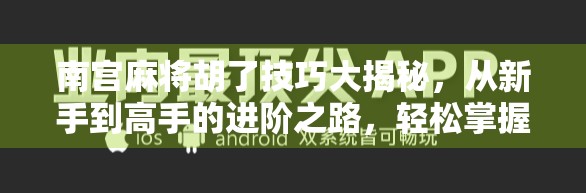 南宫麻将胡了技巧大揭秘，从新手到高手的进阶之路，轻松掌握胡牌秘诀！