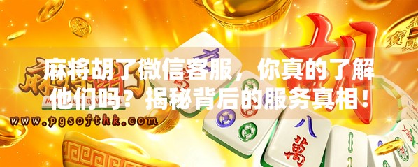 麻将胡了微信客服，你真的了解他们吗？揭秘背后的服务真相！