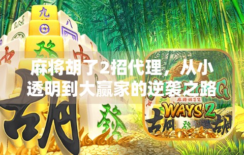 麻将胡了2招代理，从小透明到大赢家的逆袭之路